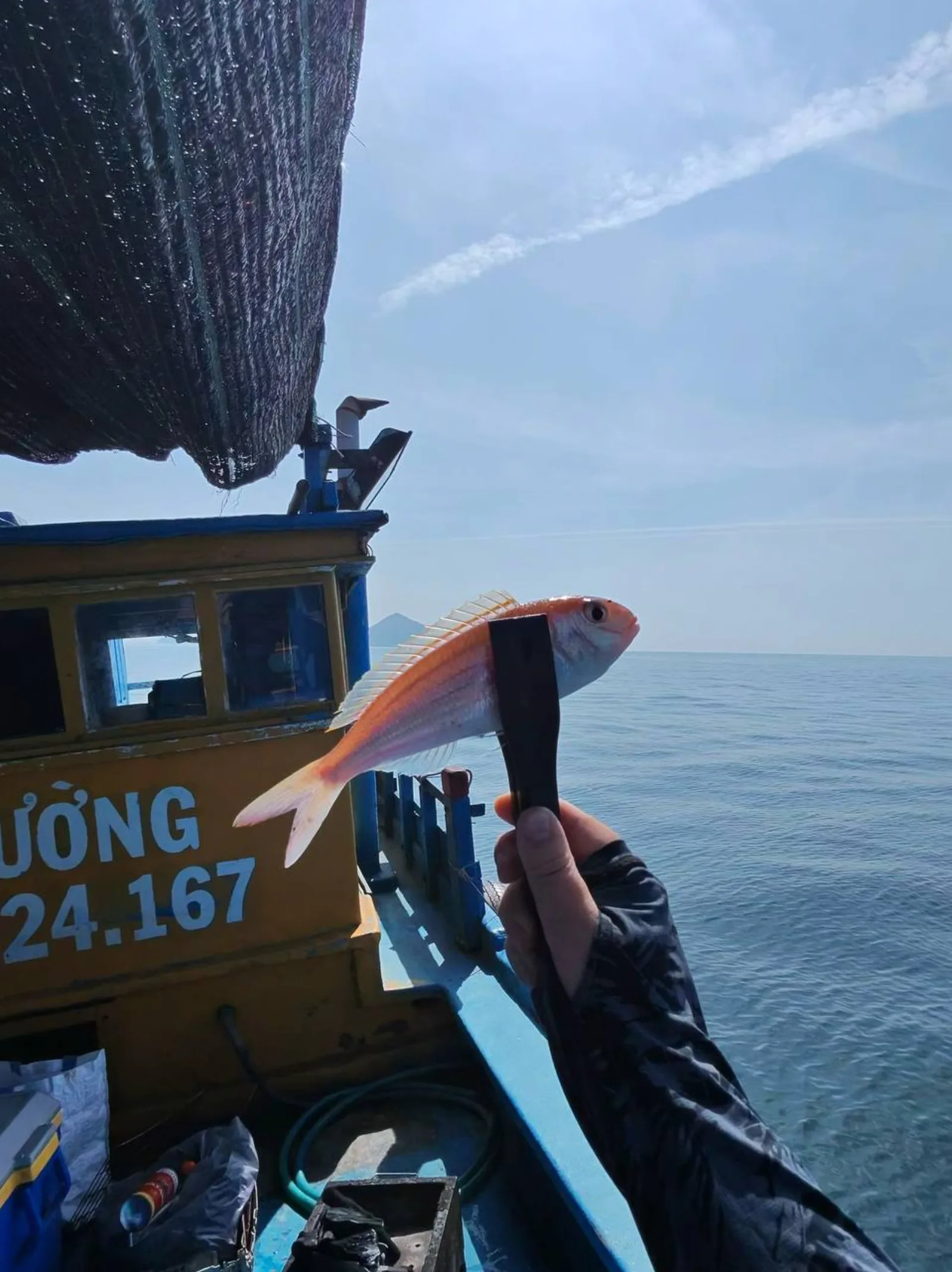 Розовая морская рыба на фоне лодки и побережья Нячанга