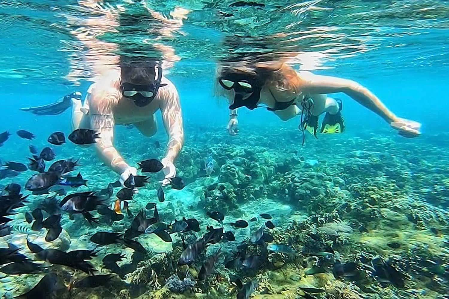 Снорклинг в прозрачной воде